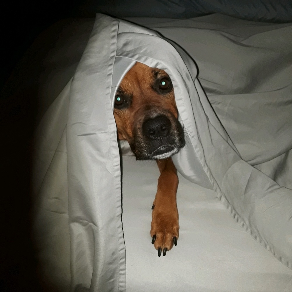 Meet your Posher, Mary